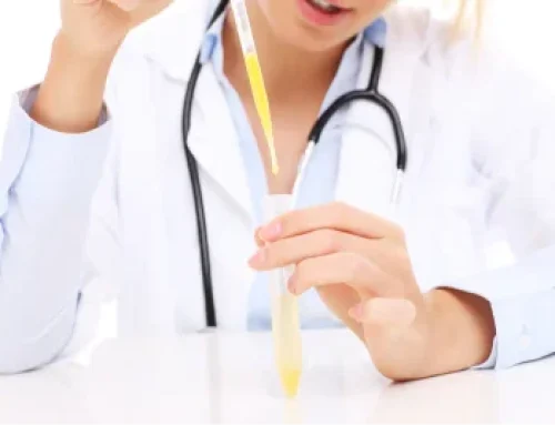 Medical Weight Loss in East Memphis, TN | Why Long-Term Success Requires More Than a Quick Fix